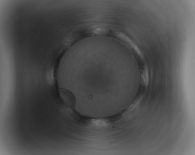 X0000102770520200808181132