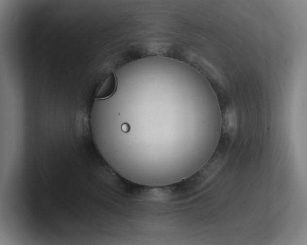 X0000102770522200808181132