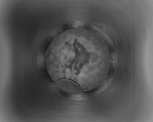 X0000102770523200808181132