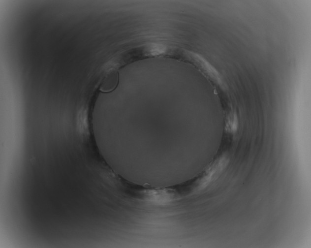 X0000102770524200808181132