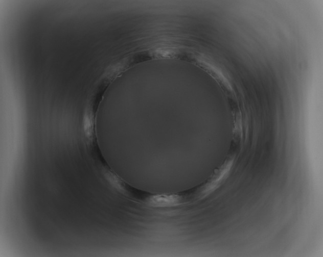 X0000102770526200808181132