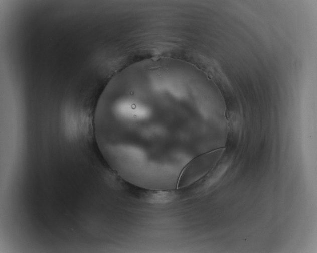 X0000102770527200808181132