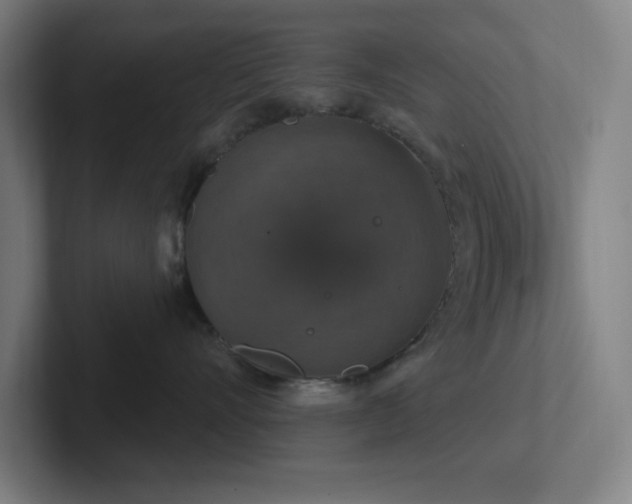 X0000102770528200808181132