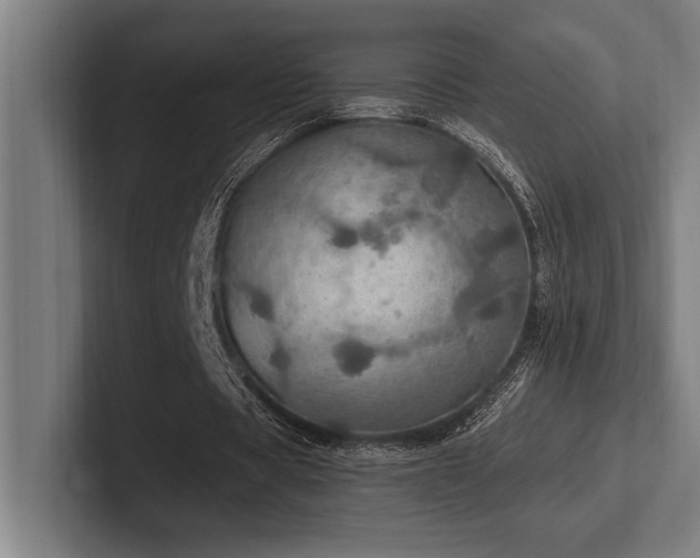 X0000102770529200808181131