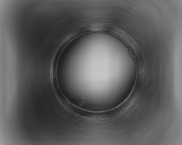 X0000102770530200808181131