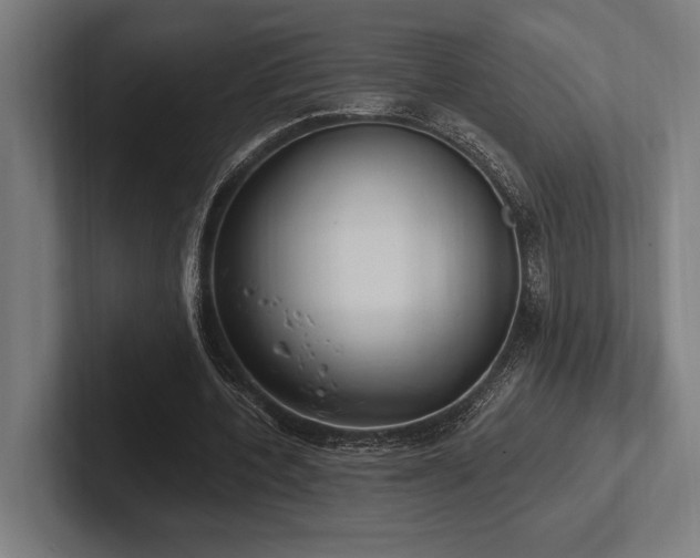 X0000102770532200808181131