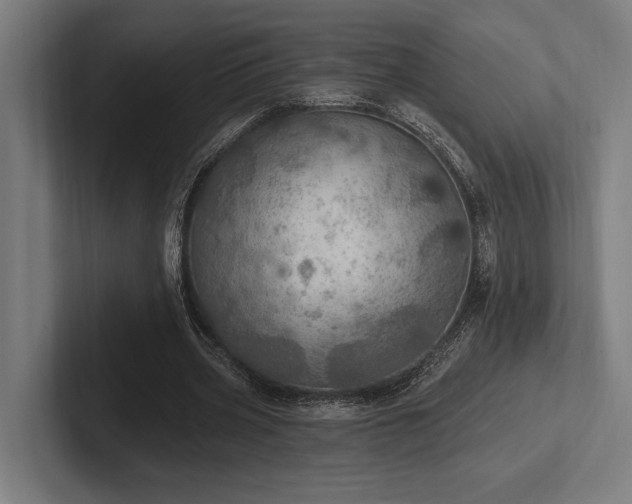 X0000102770533200808181131