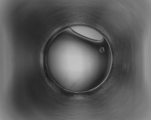 X0000102770534200808181131