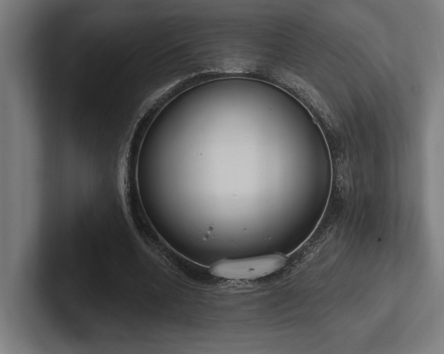 X0000102770536200808181131