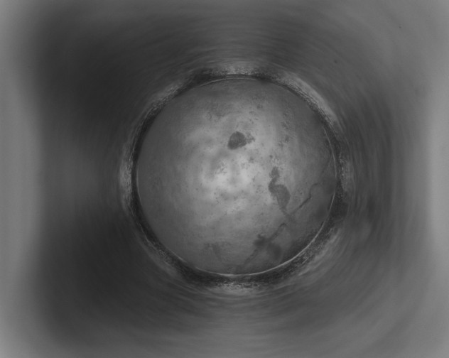 X0000102770537200808181131