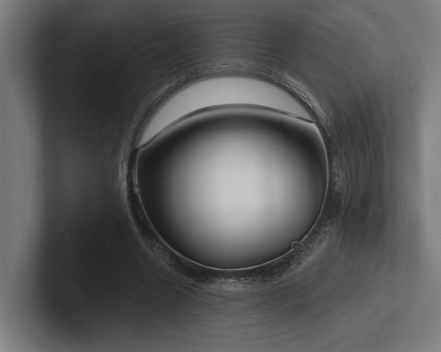 X0000102770538200808181131