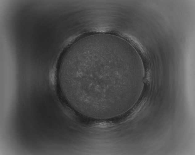 X0000102770540200808181131