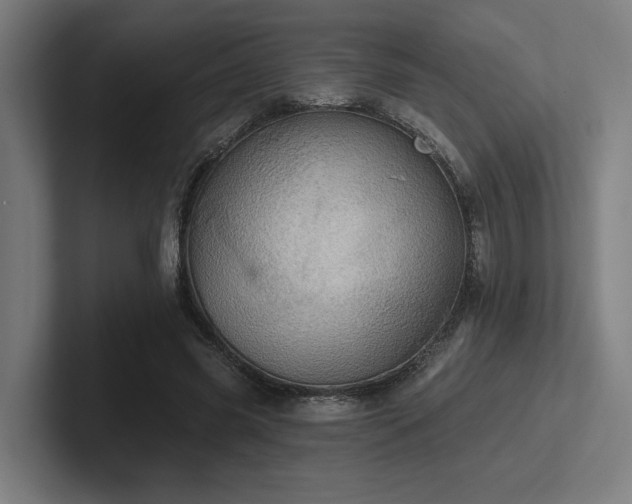 X0000102770541200808181131