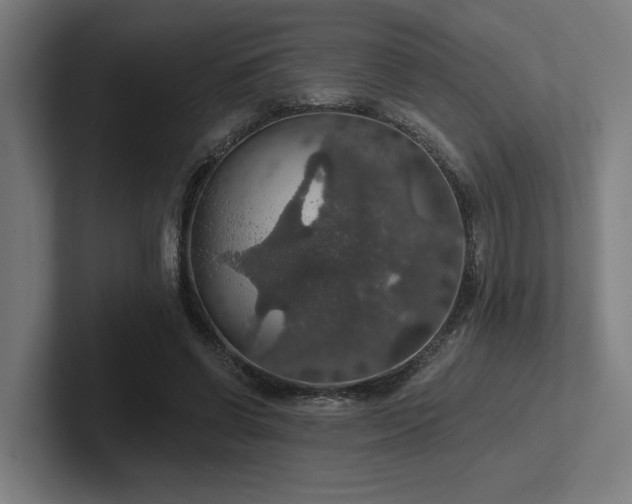 X0000102770542200808181131