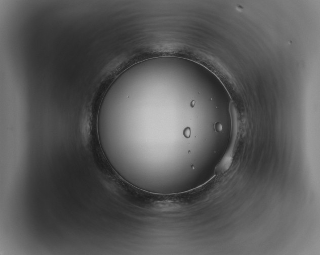 X0000102770544200808181131