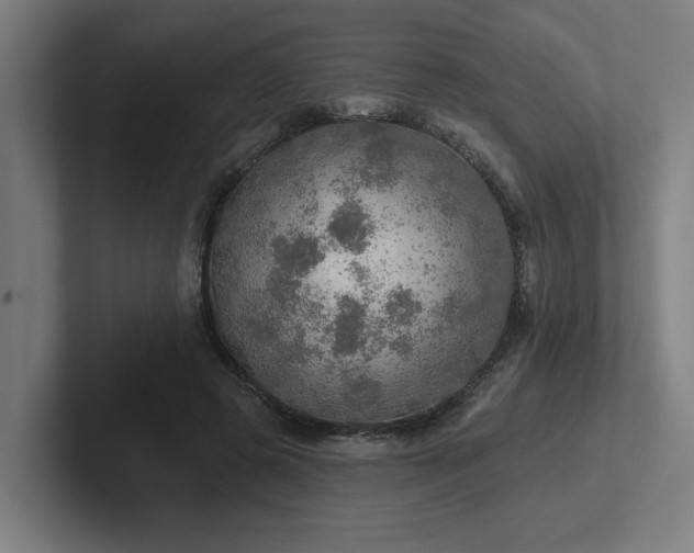 X0000102770545200808181131