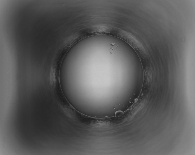 X0000102770546200808181131