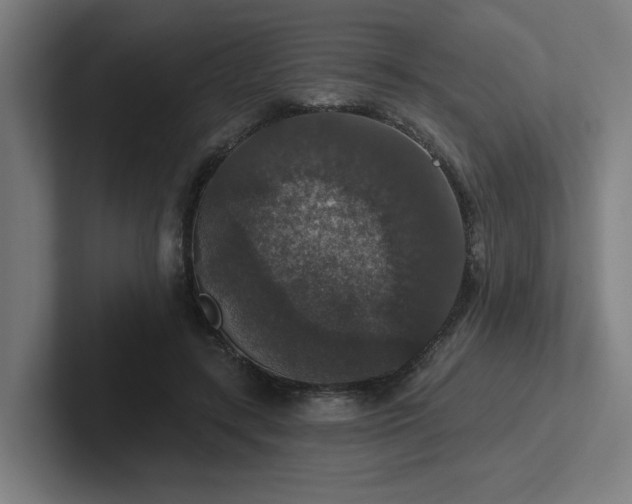 X0000102770547200808181131