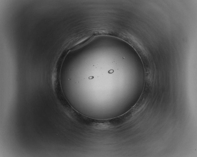 X0000102770548200808181131