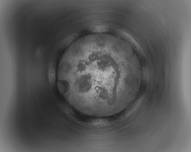 X0000102770549200808181131