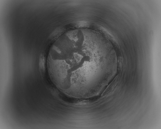 X0000102770550200808181131