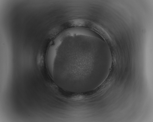 X0000102770551200808181131