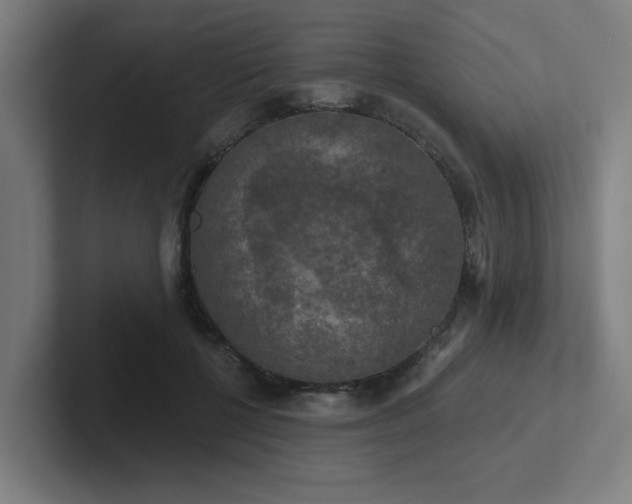 X0000102770552200808181131