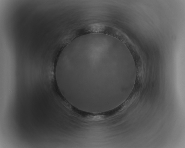 X0000102770553200808181131