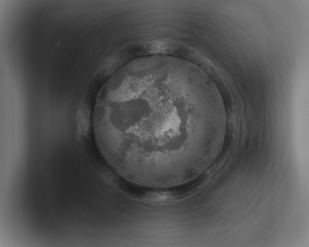 X0000102770554200808181131