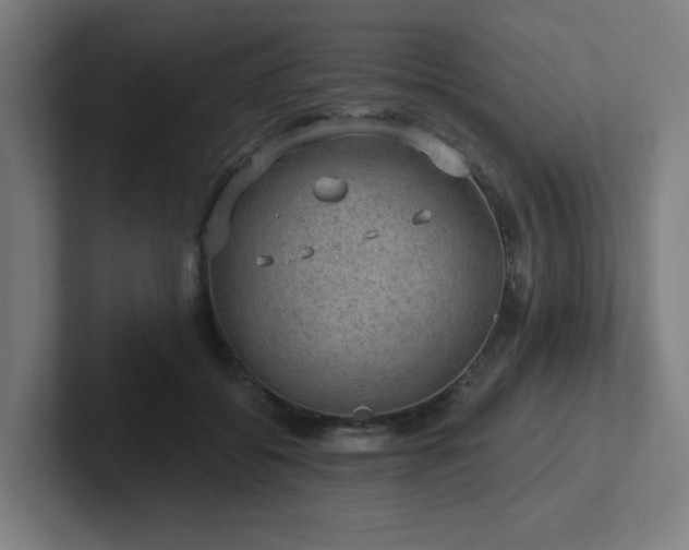 X0000102770556200808181131