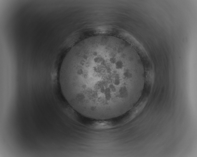 X0000102770557200808181131