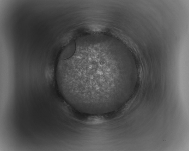 X0000102770559200808181131