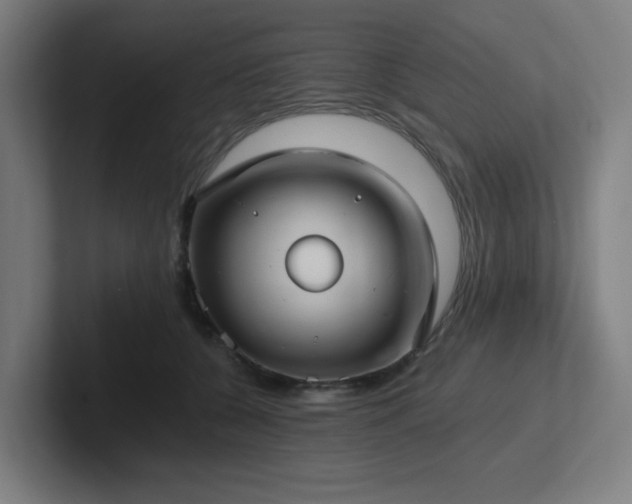 X0000102770560200808181131