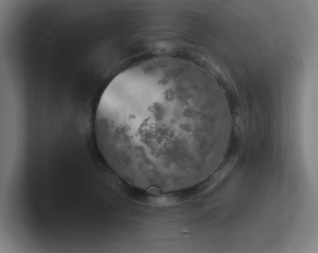 X0000102770561200808181131