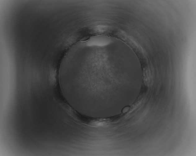 X0000102770563200808181131