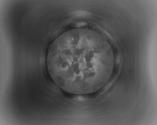 X0000102770565200808181131