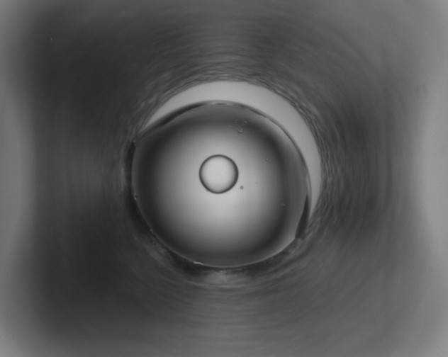 X0000102770568200808181132