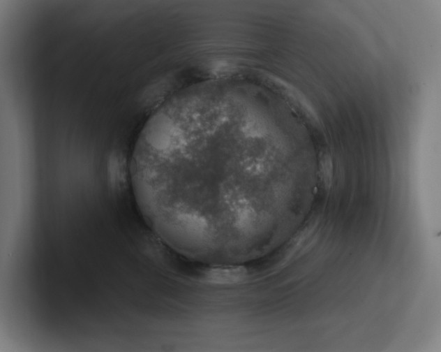 X0000102770571200808181132