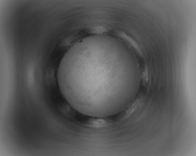 X0000102770572200808181132