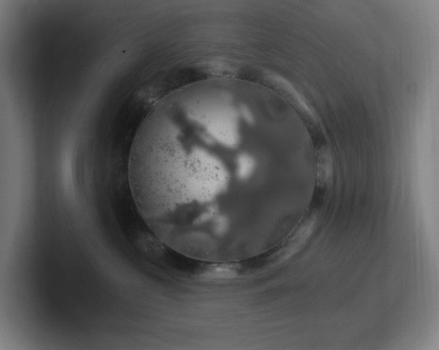 X0000102770573200808181132