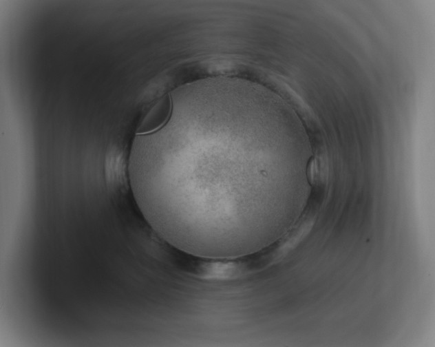 X0000102770575200808181132