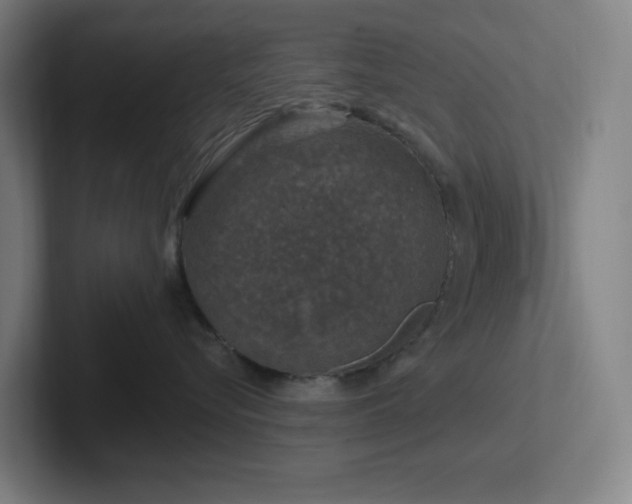 X0000102770576200808181132