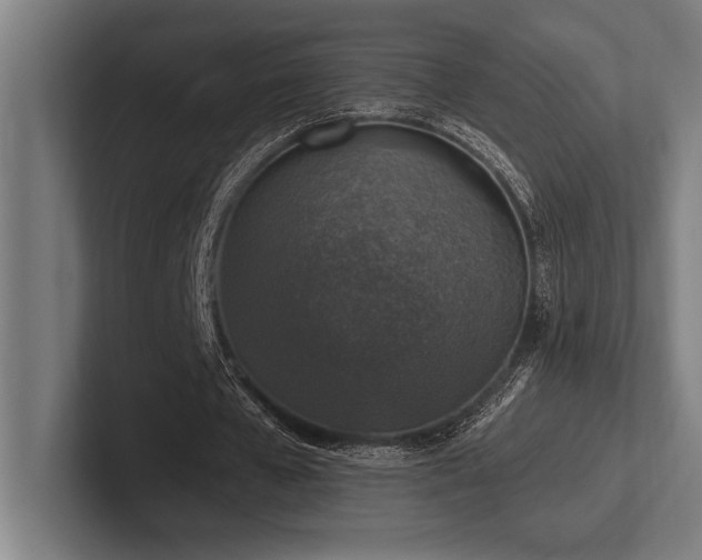 X0000102770577200808181131