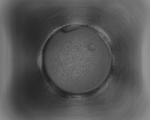 X0000102770580200808181131