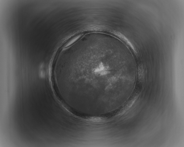 X0000102770581200808181131