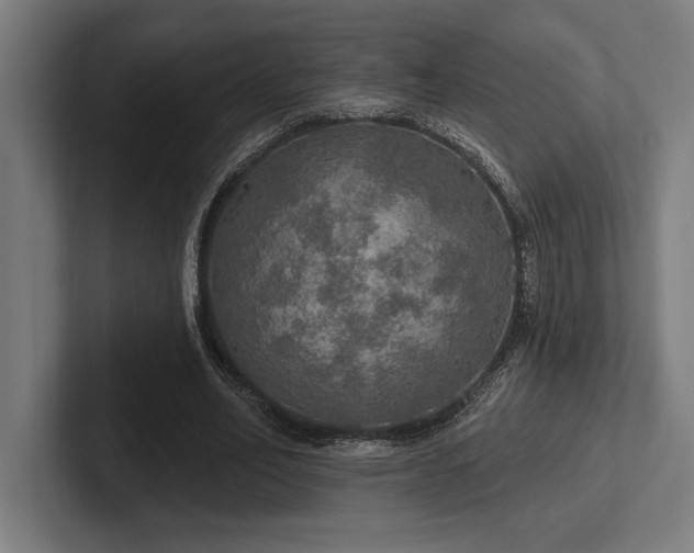 X0000102770582200808181131