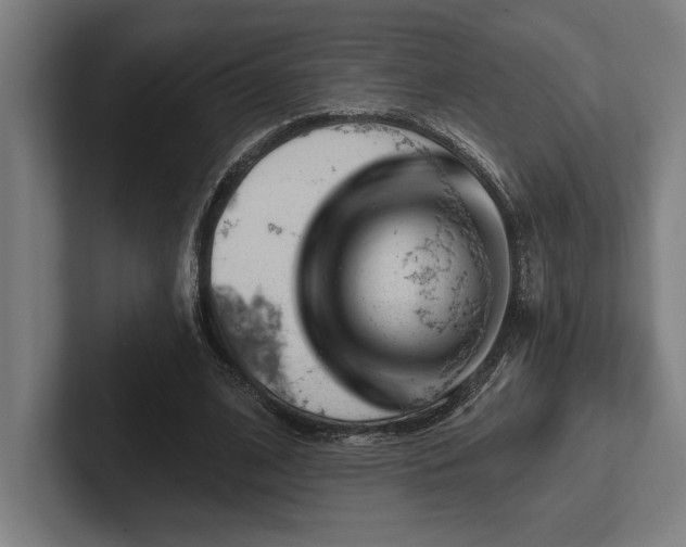 X0000102770584200808181131