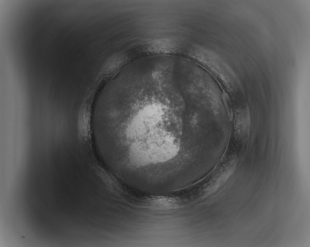 X0000102770585200808181131