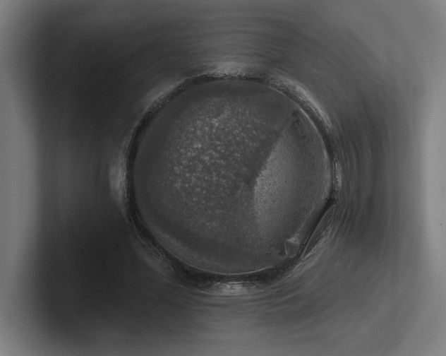 X0000102770588200808181131