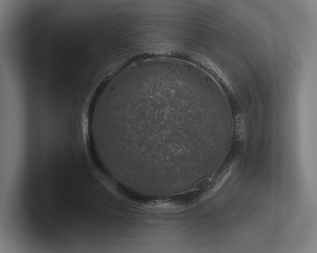 X0000102770589200808181131